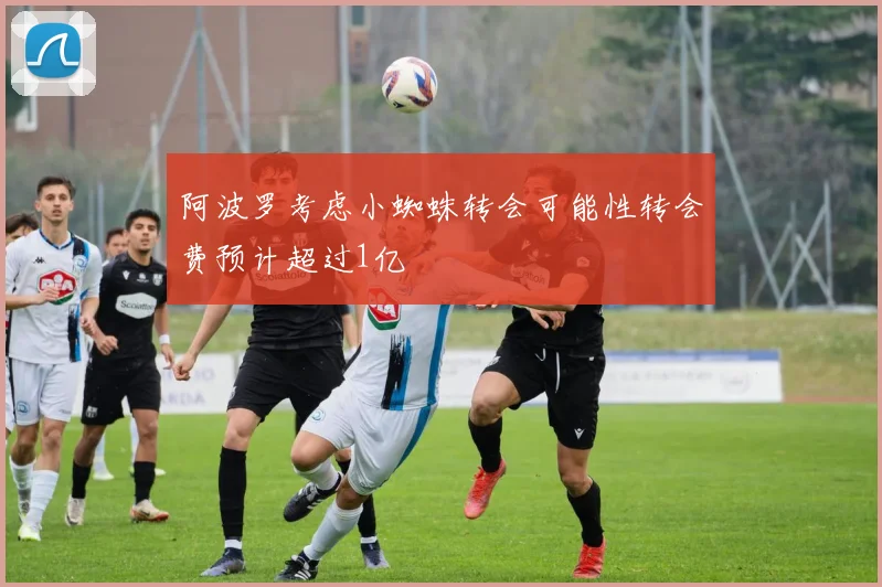 阿波罗考虑小蜘蛛转会可能性转会费预计超过1亿